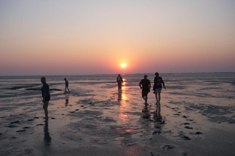 Wattspaziergang in der Sonne | © Tourismus und Stadtmarketing Husum GmbH