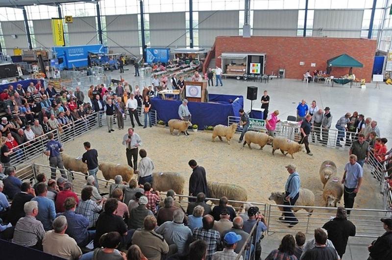 Bockauktion in der Messehalle | © Messe Husum & Congress
