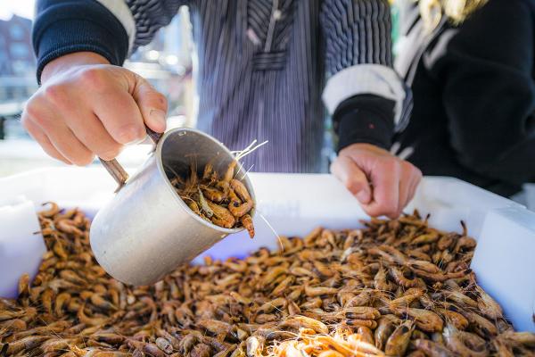 Krabbenverkauf in Husum