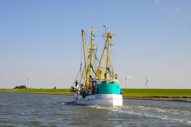 Krabbenkutter bei Hafenausfahrt | © Tourismus und Stadtmarketing Husum GmbH